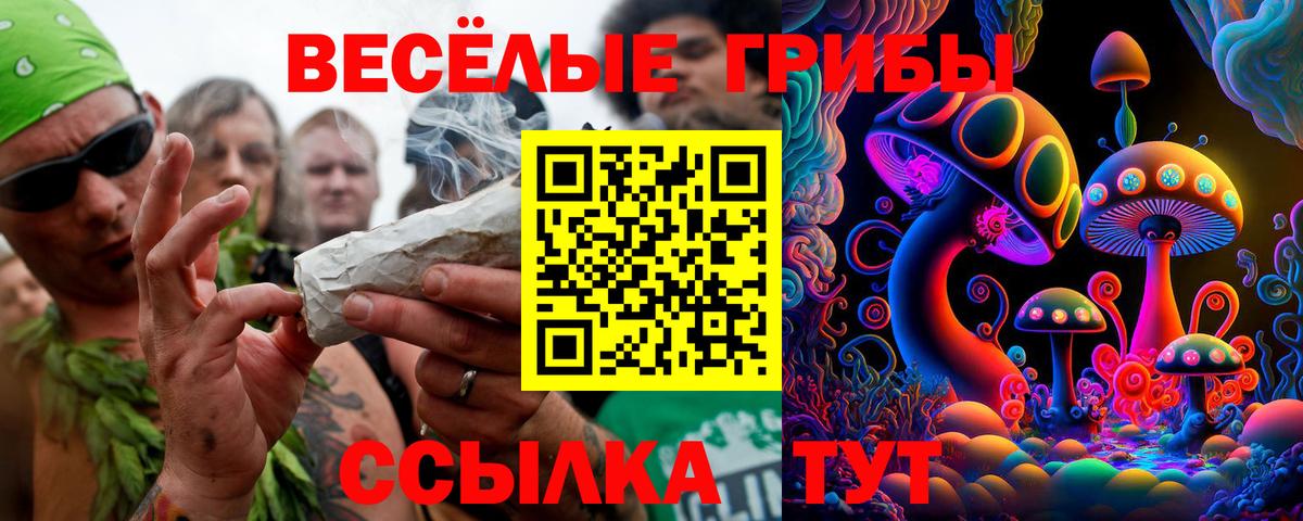 Псилоцибиновые грибы Psilocybine cubensis  Вход с VPN  Нурлат  Галлюциногенные грибы Psilocybine cubensis 